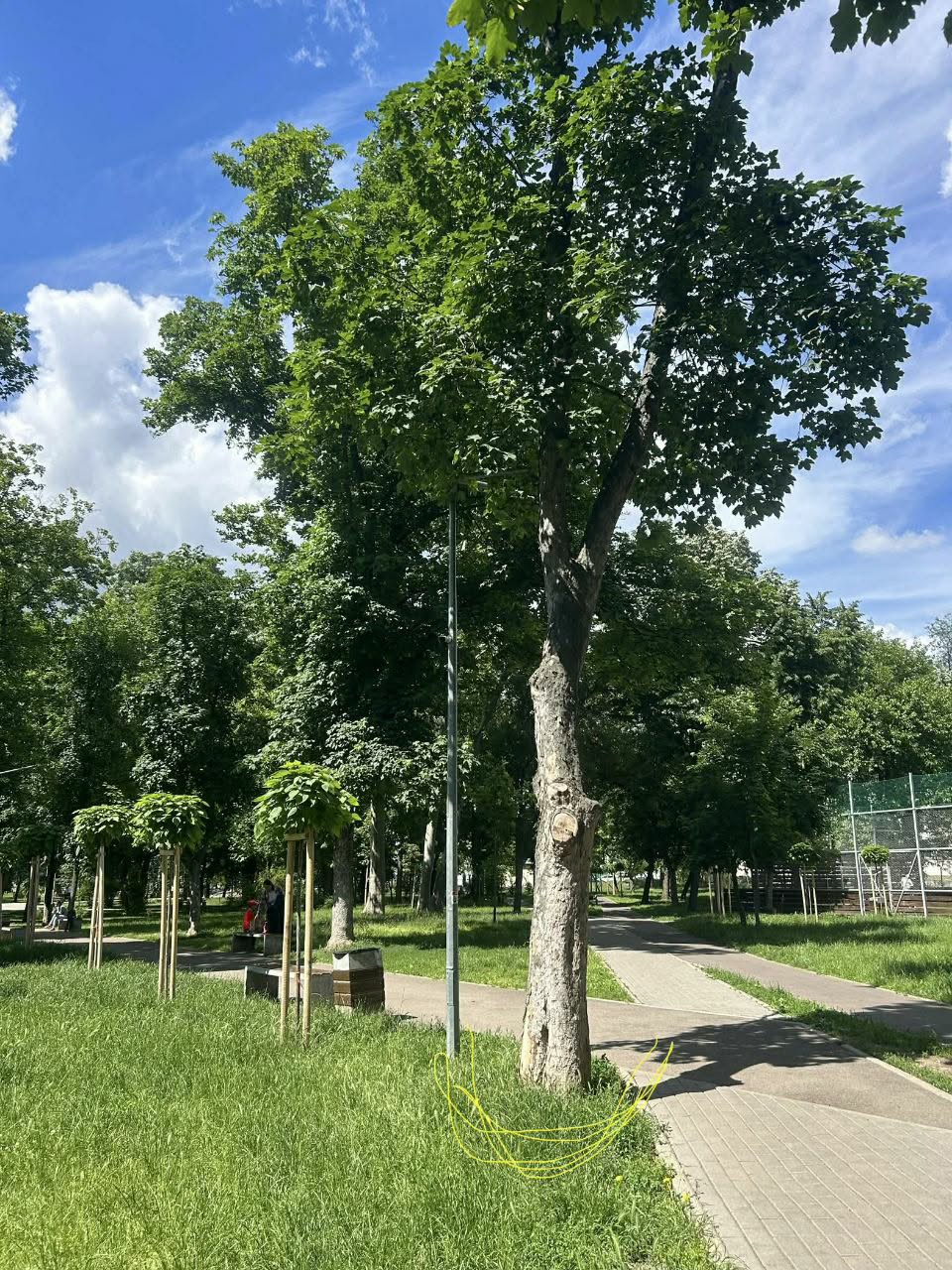 IMG_9492.jpeg